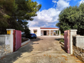 La Piccola Pineta, Capitolo Antonelli